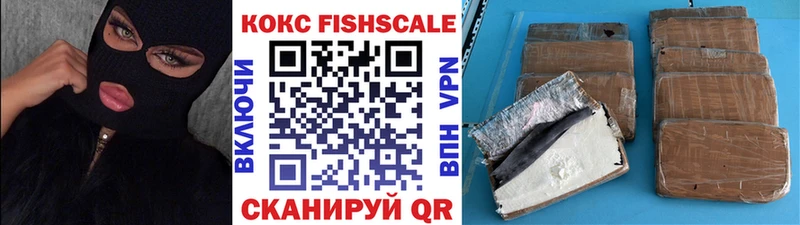 где купить   Игарка  Кокаин FishScale 